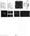 Fig. 07 - TREATMENT OF BONE GROWTH DISORDERS