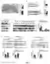 Fig. 10 - TREATMENT OF BONE GROWTH DISORDERS
