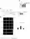 Fig. 25 - TREATMENT OF BONE GROWTH DISORDERS