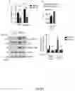 Fig. 28 - TREATMENT OF BONE GROWTH DISORDERS
