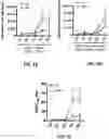 Fig. 02 - Combination immunotherapy dosing regimen for immune checkpoint blockade
