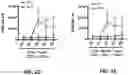 Fig. 03 - Combination immunotherapy dosing regimen for immune checkpoint blockade