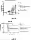 Fig. 05 - Combination immunotherapy dosing regimen for immune checkpoint blockade