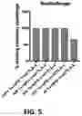 Fig. 07 - Combination immunotherapy dosing regimen for immune checkpoint blockade