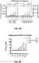 Fig. 08 - Combination immunotherapy dosing regimen for immune checkpoint blockade