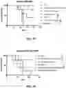 Fig. 10 - Combination immunotherapy dosing regimen for immune checkpoint blockade