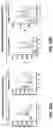 Fig. 13 - Combination immunotherapy dosing regimen for immune checkpoint blockade
