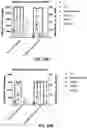 Fig. 23 - Combination immunotherapy dosing regimen for immune checkpoint blockade