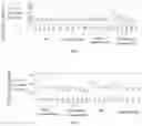 Fig. 02 - IL-15 protein complex pharmaceutical composition