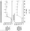 Fig. 29 - Systems, compositions and methods for treating diabetes