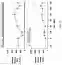 Fig. 32 - Systems, compositions and methods for treating diabetes