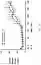 Fig. 38 - Systems, compositions and methods for treating diabetes