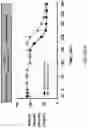 Fig. 61 - Systems, compositions and methods for treating diabetes