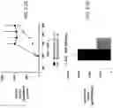 Fig. 63 - Systems, compositions and methods for treating diabetes