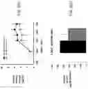 Fig. 64 - Systems, compositions and methods for treating diabetes