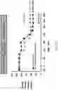 Fig. 74 - Systems, compositions and methods for treating diabetes