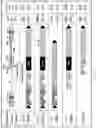Fig. 02 - Methods for inducing partial apoptosis using caspase polypeptides