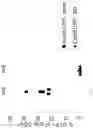 Fig. 15 - Methods for inducing partial apoptosis using caspase polypeptides