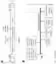 Fig. 16 - Methods for inducing partial apoptosis using caspase polypeptides