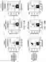 Fig. 26 - Methods for inducing partial apoptosis using caspase polypeptides