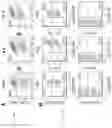 Fig. 28 - Methods for inducing partial apoptosis using caspase polypeptides