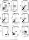 Fig. 29 - Methods for inducing partial apoptosis using caspase polypeptides