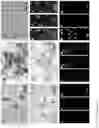 Fig. 31 - Methods for inducing partial apoptosis using caspase polypeptides