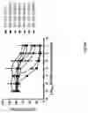 Fig. 74 - Methods for inducing partial apoptosis using caspase polypeptides