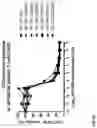 Fig. 77 - Methods for inducing partial apoptosis using caspase polypeptides