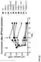 Fig. 78 - Methods for inducing partial apoptosis using caspase polypeptides