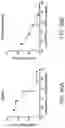 Fig. 80 - Methods for inducing partial apoptosis using caspase polypeptides
