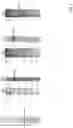 Fig. 06 - Methods of decreasing amyloid beta (Aβ) plaque deposition and hyperphosphorylated tau plaque deposition in Alzheimer's disease using a cystatin C fusion protein