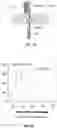 Fig. 03 - COMPOSITIONS FOR CHIMERIC ANTIGEN RECEPTOR T CELL THERAPY AND USES THEREOF