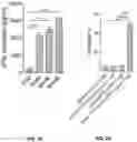 Fig. 04 - COMPOSITIONS FOR CHIMERIC ANTIGEN RECEPTOR T CELL THERAPY AND USES THEREOF