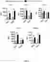 Fig. 08 - COMPOSITIONS FOR CHIMERIC ANTIGEN RECEPTOR T CELL THERAPY AND USES THEREOF