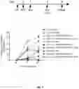 Fig. 09 - COMPOSITIONS FOR CHIMERIC ANTIGEN RECEPTOR T CELL THERAPY AND USES THEREOF