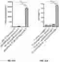 Fig. 13 - COMPOSITIONS FOR CHIMERIC ANTIGEN RECEPTOR T CELL THERAPY AND USES THEREOF