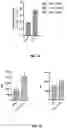 Fig. 16 - COMPOSITIONS FOR CHIMERIC ANTIGEN RECEPTOR T CELL THERAPY AND USES THEREOF