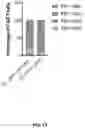 Fig. 17 - COMPOSITIONS FOR CHIMERIC ANTIGEN RECEPTOR T CELL THERAPY AND USES THEREOF