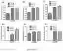 Fig. 10 - Immunogenic proteins against 