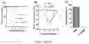Fig. 11 - Immunogenic proteins against 