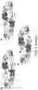 Fig. 03 - METHODS AND COMPOSITIONS FOR RECOMBINANT DENGUE VIRUSES FOR VACCINE AND DIAGNOSTIC DEVELOPMENT