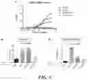 Fig. 06 - METHODS AND COMPOSITIONS FOR RECOMBINANT DENGUE VIRUSES FOR VACCINE AND DIAGNOSTIC DEVELOPMENT