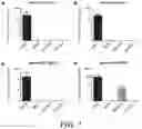 Fig. 09 - METHODS AND COMPOSITIONS FOR RECOMBINANT DENGUE VIRUSES FOR VACCINE AND DIAGNOSTIC DEVELOPMENT
