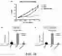 Fig. 12 - METHODS AND COMPOSITIONS FOR RECOMBINANT DENGUE VIRUSES FOR VACCINE AND DIAGNOSTIC DEVELOPMENT