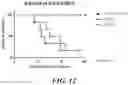 Fig. 14 - METHODS AND COMPOSITIONS FOR RECOMBINANT DENGUE VIRUSES FOR VACCINE AND DIAGNOSTIC DEVELOPMENT