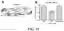 Fig. 21 - METHODS AND COMPOSITIONS FOR RECOMBINANT DENGUE VIRUSES FOR VACCINE AND DIAGNOSTIC DEVELOPMENT
