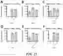Fig. 23 - METHODS AND COMPOSITIONS FOR RECOMBINANT DENGUE VIRUSES FOR VACCINE AND DIAGNOSTIC DEVELOPMENT