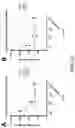 Fig. 25 - METHODS AND COMPOSITIONS FOR RECOMBINANT DENGUE VIRUSES FOR VACCINE AND DIAGNOSTIC DEVELOPMENT