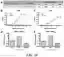 Fig. 32 - METHODS AND COMPOSITIONS FOR RECOMBINANT DENGUE VIRUSES FOR VACCINE AND DIAGNOSTIC DEVELOPMENT